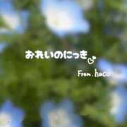 ヒメ日記 2026/04/29 22:05 投稿 はこ【業界未経験】 茨城水戸ちゃんこ
