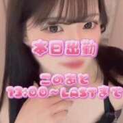 ヒメ日記 2026/06/21 10:15 投稿 はこ【業界未経験】 茨城水戸ちゃんこ