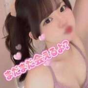ヒメ日記 2026/07/04 14:25 投稿 はこ【業界未経験】 茨城水戸ちゃんこ