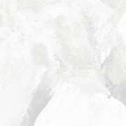 みなみ ごめんなさい🙇🏻‍♀️ ビギナーズ和歌山