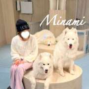 ヒメ日記 2025/12/09 22:54 投稿 みなみ ビギナーズ和歌山