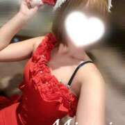 ヒメ日記 2025/12/17 13:44 投稿 みなみ ビギナーズ和歌山