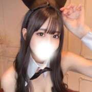ヒメ日記 2025/12/03 11:00 投稿 うらら JAPAN CLUB BUNNY LOUNGE