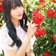 ヒメ日記 2025/12/05 09:00 投稿 うらら JAPAN CLUB BUNNY LOUNGE