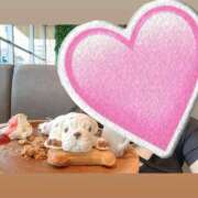 ヒメ日記 2025/11/29 18:53 投稿 みく 京都ホテヘル倶楽部