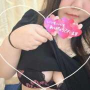 ヒメ日記 2025/12/06 17:49 投稿 みる 愛媛松山ちゃんこ