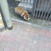 ヒメ日記 2025/12/19 22:31 投稿 ふみか ギン妻パラダイス 和歌山店