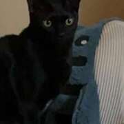 ヒメ日記 2026/03/16 14:39 投稿 ふみか ギン妻パラダイス 和歌山店