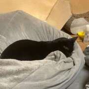 ヒメ日記 2026/03/27 21:03 投稿 ふみか ギン妻パラダイス 和歌山店