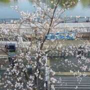 ヒメ日記 2026/04/14 20:29 投稿 ふみか ギン妻パラダイス 和歌山店