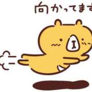 ヒメ日記 2026/06/17 22:00 投稿 ふみか ギン妻パラダイス 和歌山店
