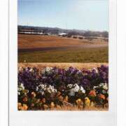 ヒメ日記 2025/12/08 16:30 投稿 えいみ 奥鉄オクテツ神奈川店（デリヘル市場グループ）