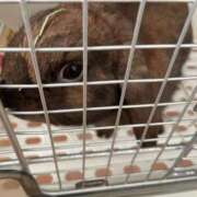 ヒメ日記 2026/01/08 09:38 投稿 さら One More 奥様　西川口店