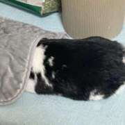 ヒメ日記 2026/01/14 08:53 投稿 さら One More 奥様　西川口店