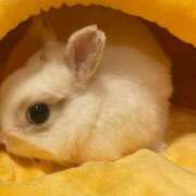 ヒメ日記 2026/01/15 20:25 投稿 さら One More 奥様　西川口店