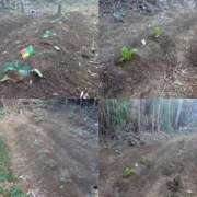 ヒメ日記 2025/11/23 12:08 投稿 れいな 熟女の風俗最終章 沼津店