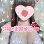 ヒメ日記 2025/12/19 12:53 投稿 つぼみ 熟女の風俗最終章 八王子店