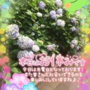 ヒメ日記 2025/11/23 14:13 投稿 つぼみ 熟女の風俗最終章 国分寺店