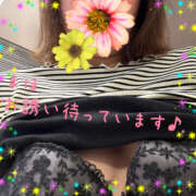 ヒメ日記 2025/12/02 14:41 投稿 まほ 熟女の風俗最終章 宇都宮店