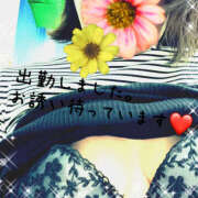 ヒメ日記 2025/12/16 11:51 投稿 まほ 熟女の風俗最終章 宇都宮店