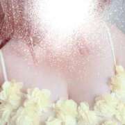 あきら ?お礼 八尾藤井寺羽曳野ちゃんこ