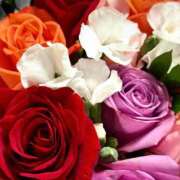 ヒメ日記 2025/12/07 00:41 投稿 まさみ 錦糸町ミセスアロマ（ユメオト）