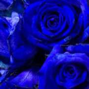 ヒメ日記 2025/12/08 12:00 投稿 まさみ 錦糸町ミセスアロマ（ユメオト）