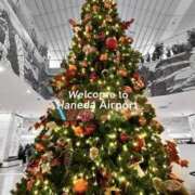 ヒメ日記 2025/12/26 12:00 投稿 まさみ 錦糸町ミセスアロマ（ユメオト）