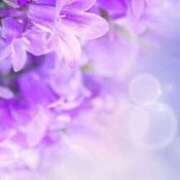 ヒメ日記 2026/01/04 23:00 投稿 まさみ 錦糸町ミセスアロマ（ユメオト）