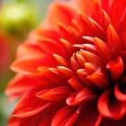 ヒメ日記 2026/01/05 23:14 投稿 まさみ 錦糸町ミセスアロマ（ユメオト）