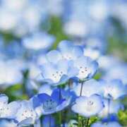 ヒメ日記 2026/01/11 22:54 投稿 まさみ 錦糸町ミセスアロマ（ユメオト）