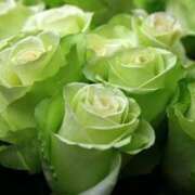 ヒメ日記 2026/02/09 23:18 投稿 まさみ 錦糸町ミセスアロマ（ユメオト）