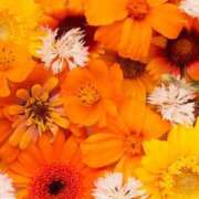 ヒメ日記 2026/02/10 23:30 投稿 まさみ 錦糸町ミセスアロマ（ユメオト）