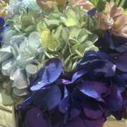 ヒメ日記 2026/02/20 18:23 投稿 まさみ 錦糸町ミセスアロマ（ユメオト）