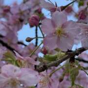 ヒメ日記 2026/02/21 22:50 投稿 まさみ 錦糸町ミセスアロマ（ユメオト）