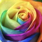 ヒメ日記 2026/03/14 22:03 投稿 まさみ 錦糸町ミセスアロマ（ユメオト）