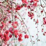 ヒメ日記 2026/03/21 18:42 投稿 まさみ 錦糸町ミセスアロマ（ユメオト）