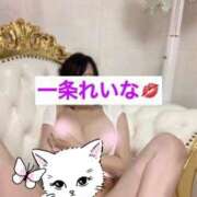 ヒメ日記 2026/01/24 20:10 投稿 一条れいな コウテイ