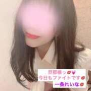 ヒメ日記 2026/02/27 07:36 投稿 一条れいな コウテイ