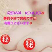 ヒメ日記 2026/04/05 10:49 投稿 一条れいな コウテイ