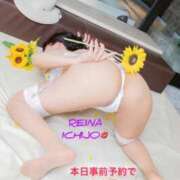 ヒメ日記 2026/08/31 09:25 投稿 一条れいな コウテイ