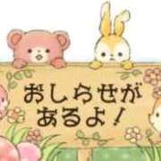 ヒメ日記 2025/11/22 15:38 投稿 東村 西川口デッドボール