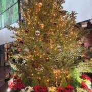 ヒメ日記 2025/11/28 13:21 投稿 まほ 奥鉄オクテツ奈良