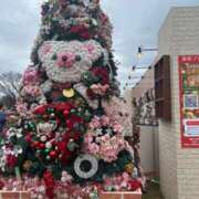 ヒメ日記 2026/01/16 11:19 投稿 みわ シークレットタッチ