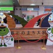 ヒメ日記 2025/11/22 17:02 投稿 みみ 出会い系人妻ネットワーク さいたま～大宮編