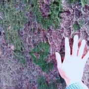 ヒメ日記 2025/11/24 04:42 投稿 みみ 出会い系人妻ネットワーク さいたま～大宮編