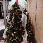 ヒメ日記 2025/11/29 05:32 投稿 みみ 出会い系人妻ネットワーク さいたま～大宮編