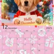 ヒメ日記 2025/12/01 12:02 投稿 みみ 出会い系人妻ネットワーク さいたま～大宮編