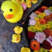 ヒメ日記 2025/12/02 14:12 投稿 みみ 出会い系人妻ネットワーク さいたま～大宮編