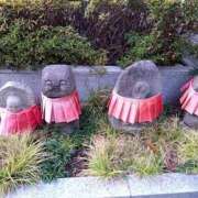 ヒメ日記 2025/12/03 16:32 投稿 みみ 出会い系人妻ネットワーク さいたま～大宮編